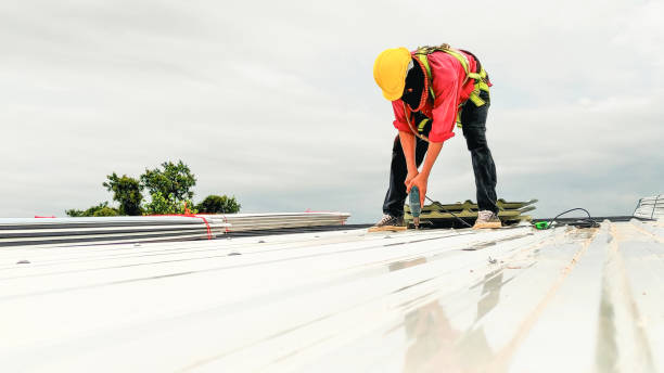 Best Roof Leak Repair  in Dock Junction, GA